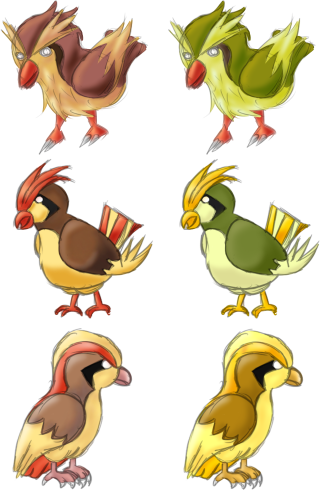 Pidgey Evolution Chart Pokemon Pidgey Evolution Chart