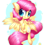 CC - Fluttering Flutter