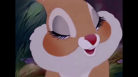 Miss Rabbit Meme Miss Bunny (gif) by ShadowedHand on DeviantArt