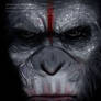 Caesar ~ Dawn of the Planet of the Apes