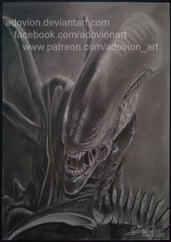 Alien Pencil Drawing