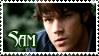 Supernatural : Sam Stamp by NorthSkyThunder