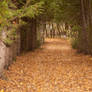 Fall path