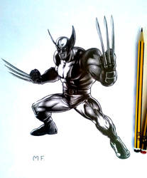 Wolverine (MARVEL) - Drawing