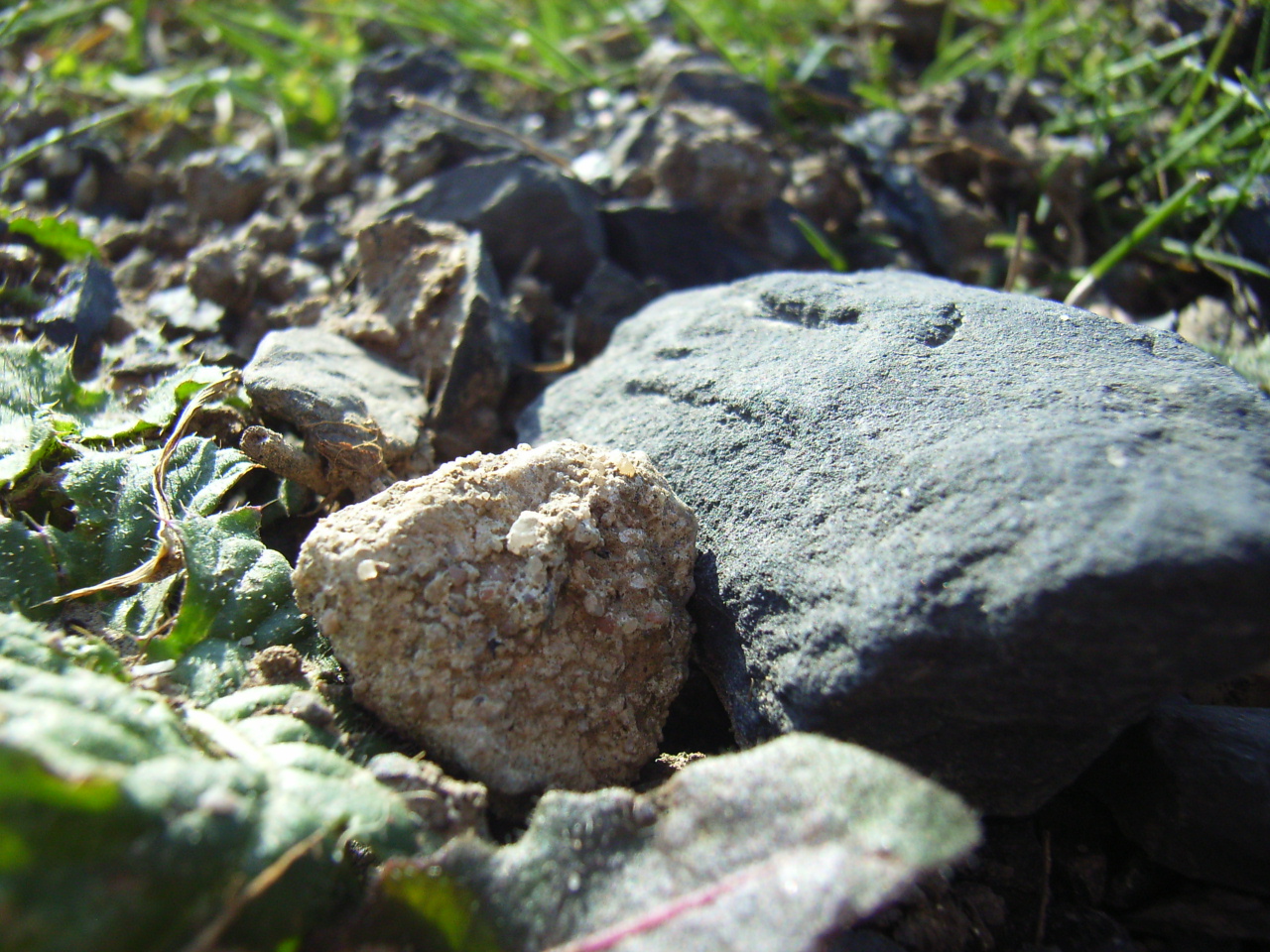 small stones embedded in grass