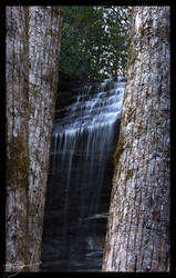Wooden Falls