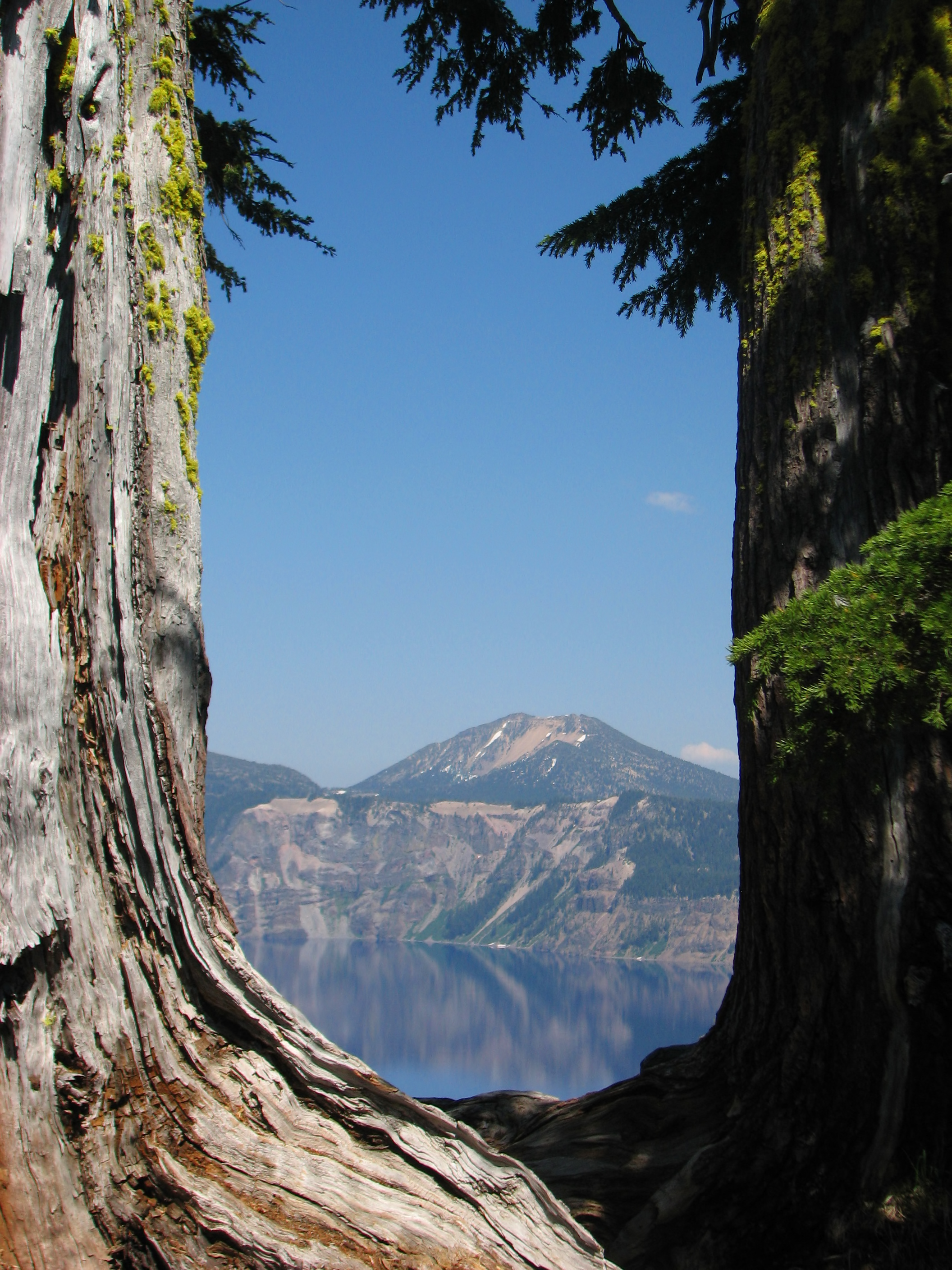 Mountain Lake, Trees, and Sky