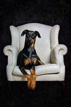 Royal Dobe