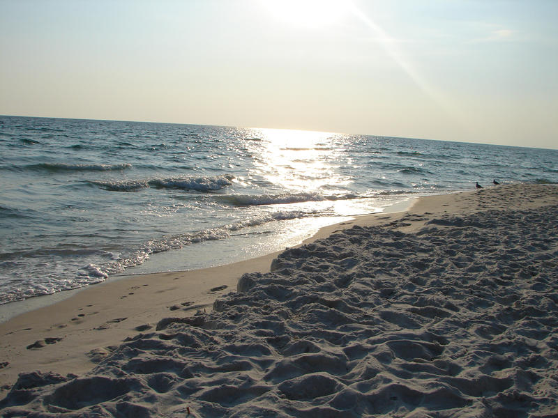 Sand, Sun, and Sea