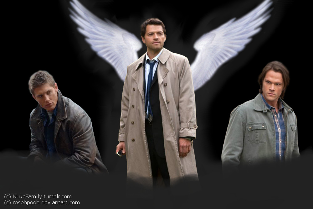 Team Free Will