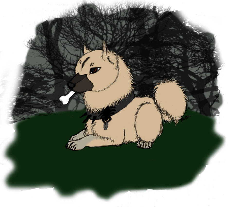Yazza by HaoYol on DeviantArt