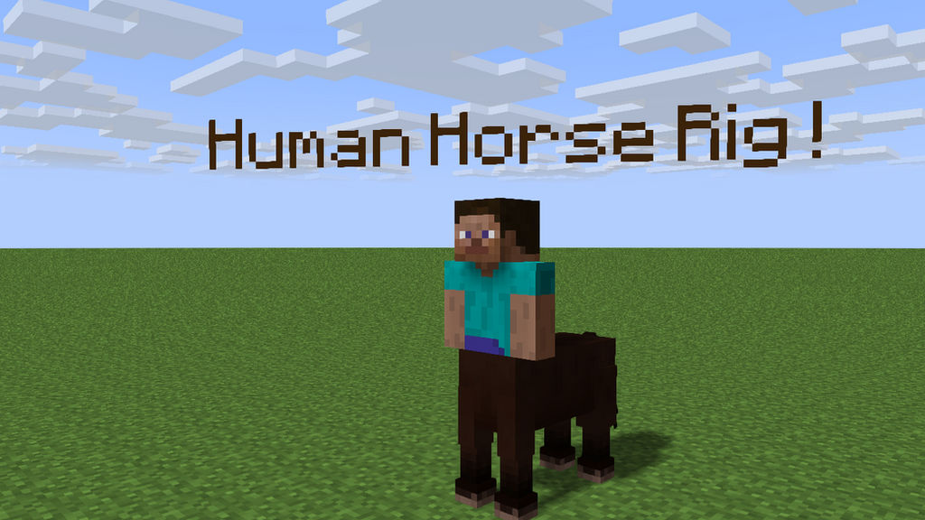Humna Rig Human + Horse Rig by Yuri8000 on DeviantArt