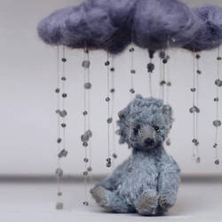 Rain bear