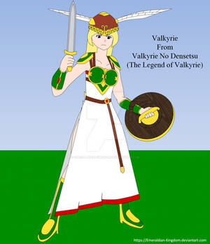 Namco: Valkyrie