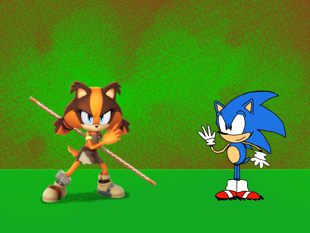 Sonic Meets Sticks the Badger