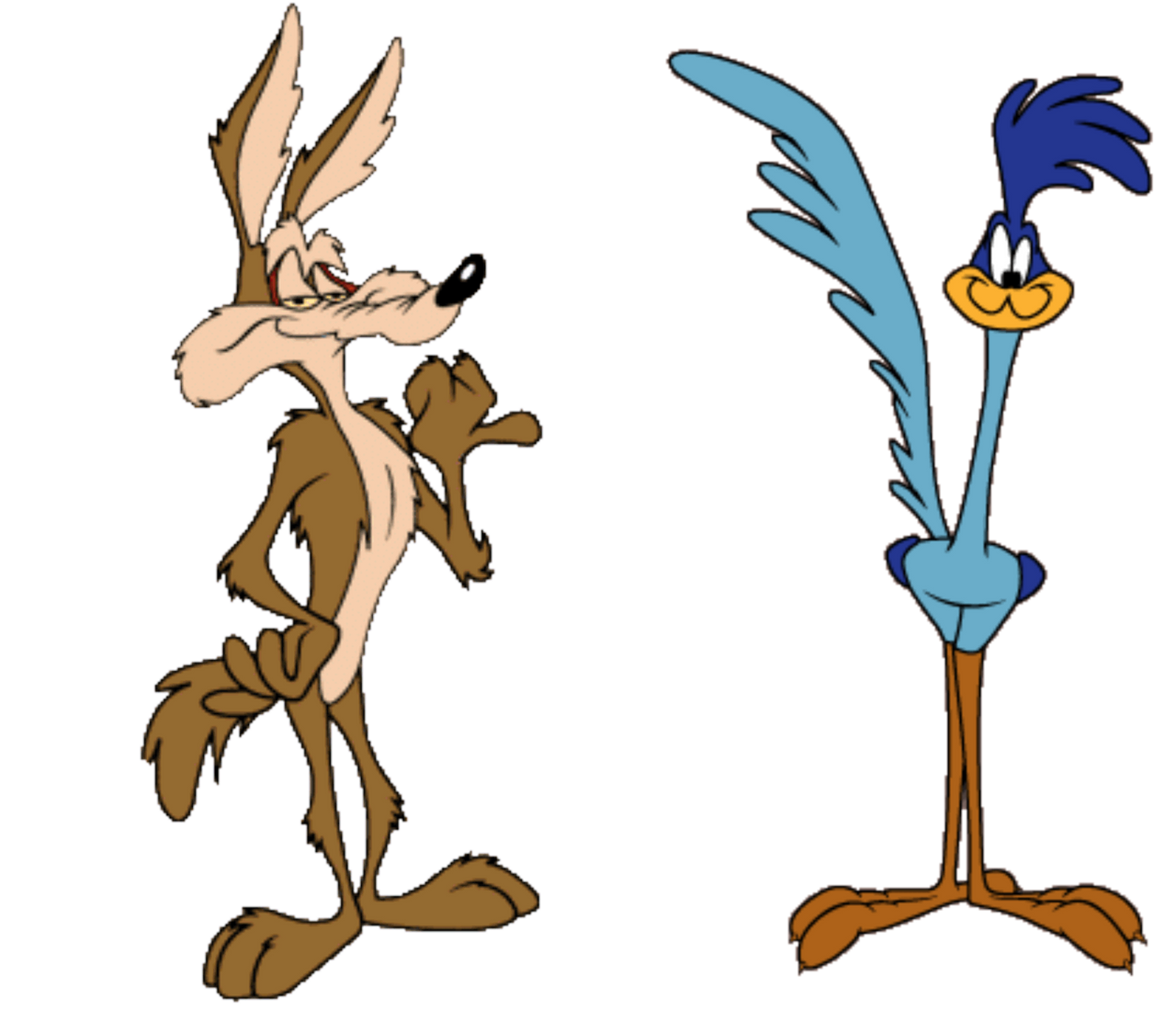 Ask Wile E. Coyote and Road Runner by Trainboy452 on DeviantArt