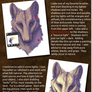Painting Process/ Fur Tutorial
