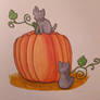 Chatons et citrouille / Kittens and pumpkin