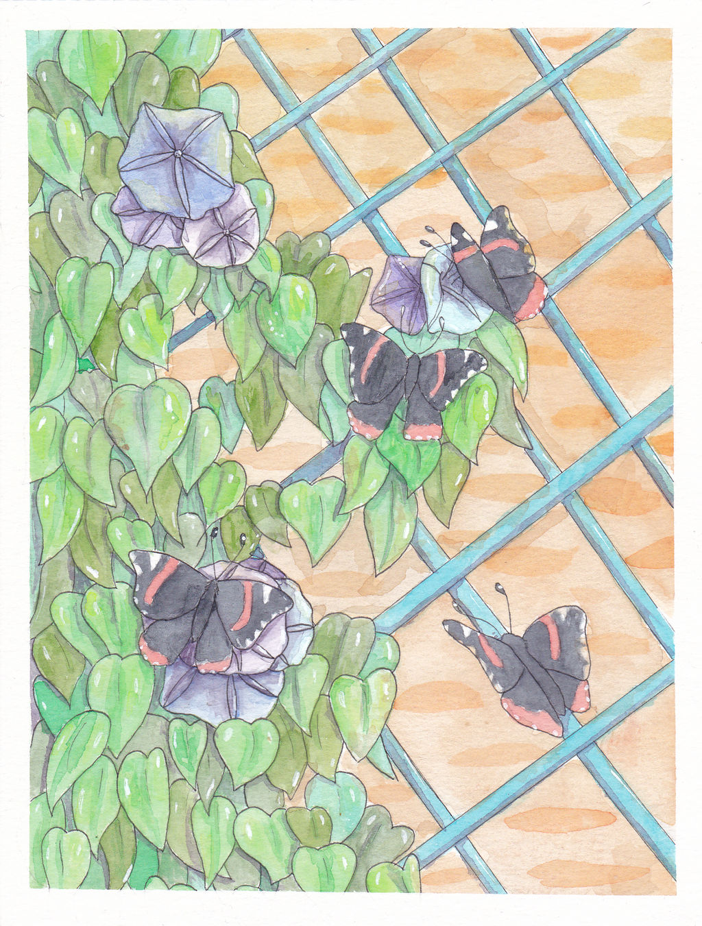 Papillons Vulcains Red Admiral Butterflies By Leafyh On DeviantArt papillons-vulcains-red-admiral-butterflies-by-leafyh-on-deviantart