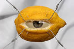 Eye of the lemon by MLep