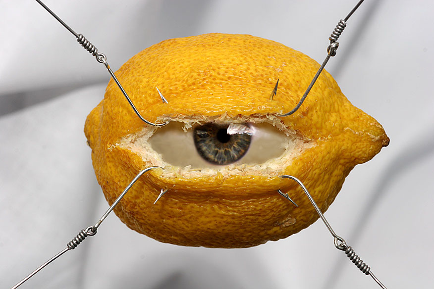 Eye of the lemon