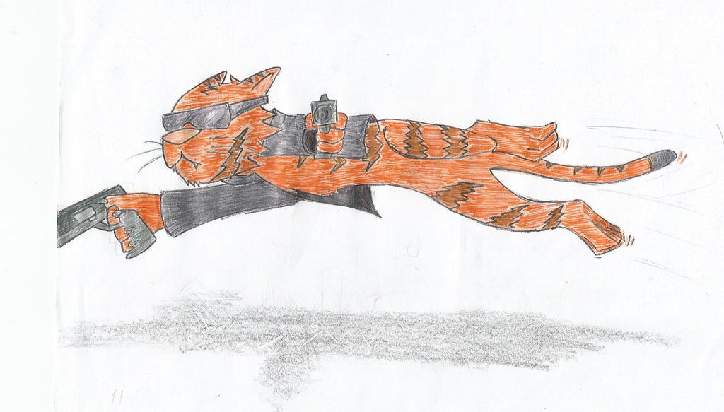 Matrix Cat by Yaki96 on DeviantArt