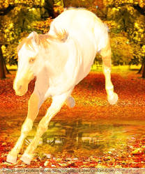 1st photomanip-Fall Fire horse