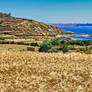 Malta - The Fields of Gozo - Spring '21