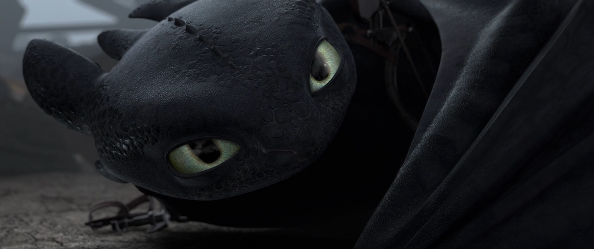 How To Train Your Dragon Screencap - Toothless by Remul-Lemlem on ...