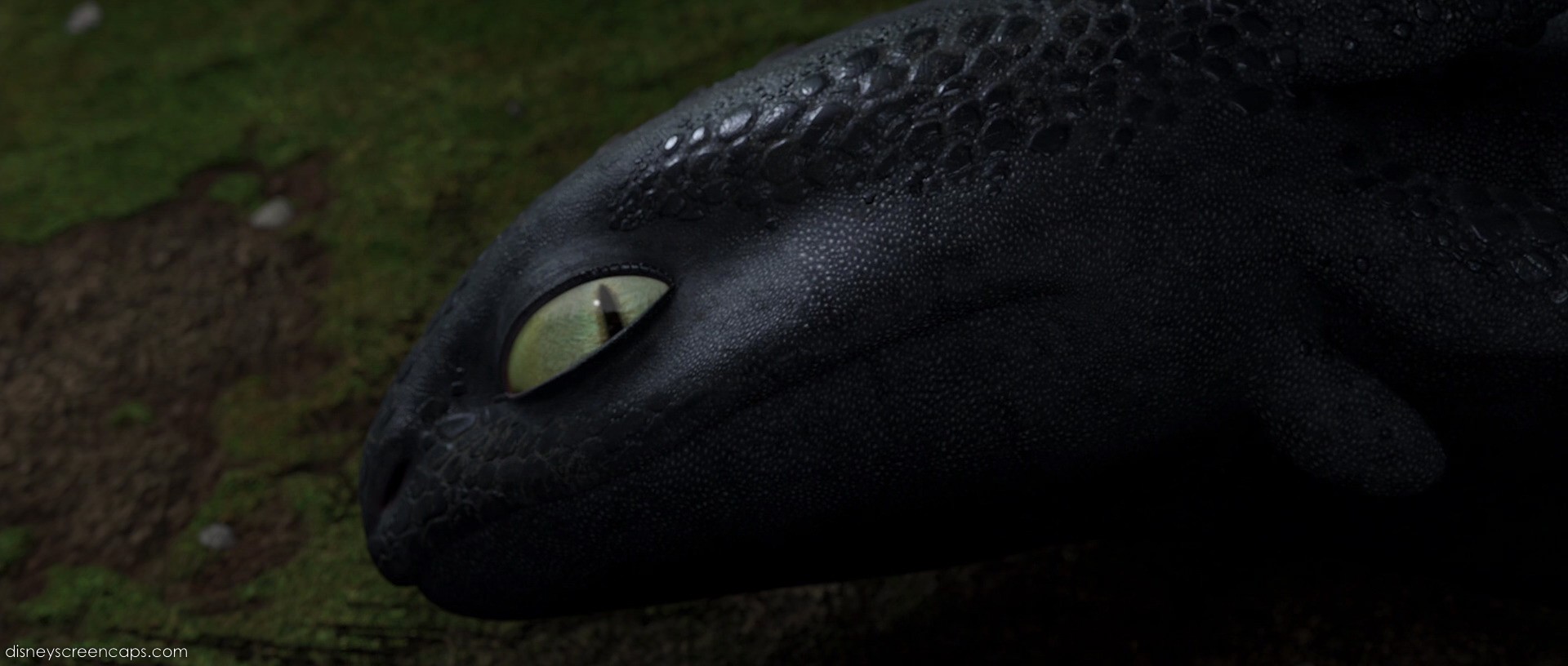 How To train your Dragon Screencap - Toothless by Remul-Lemlem on ...