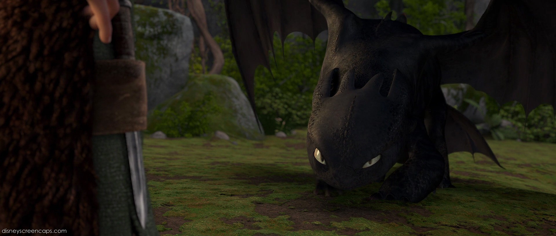 How To Train Your Dragon Screencap - Toothless by Remul-Lemlem on ...