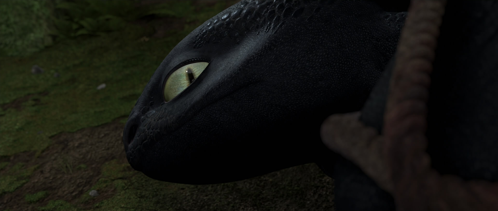 How To Train Your Dragon Screencap - Toothless by Remul-Lemlem on ...