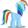 Vector #291 - Rainbow Dash #41
