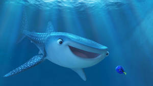 Destiny the Whale Shark #4