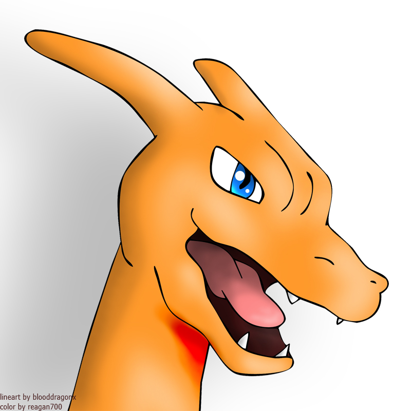 charizard head