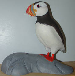 Atlantic Puffin