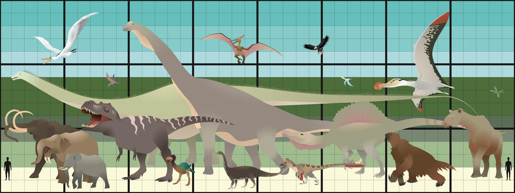 Size comparison of land animals