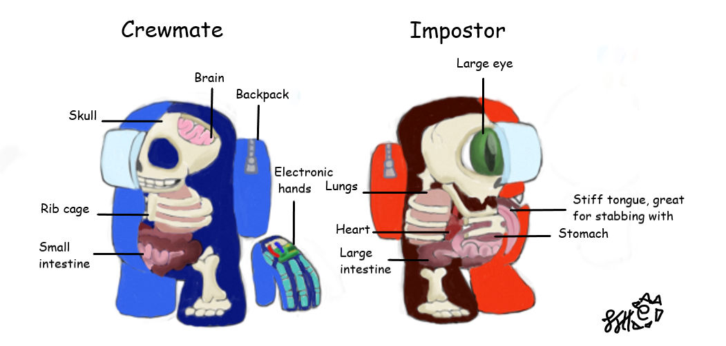 Anatomy Of Among Us By XxSolarTheHedgehogxX On DeviantArt anatomy-of-among-us-by-xxsolarthehedgehogxx-on-deviantart