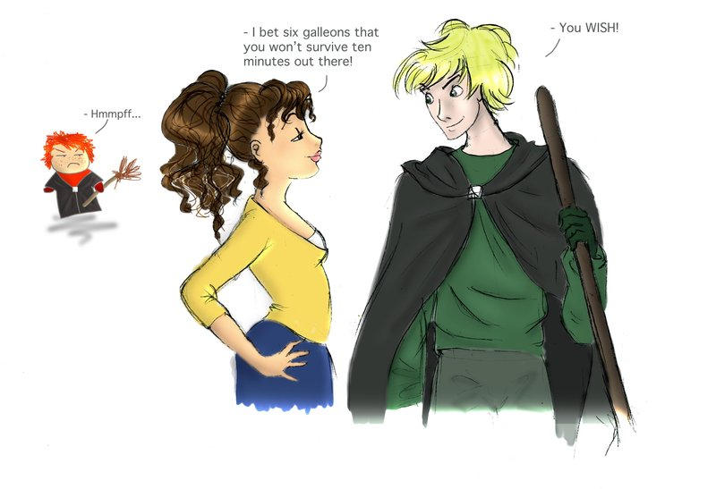 Every Quidditch Game By Draco Hermione Club On Deviantart