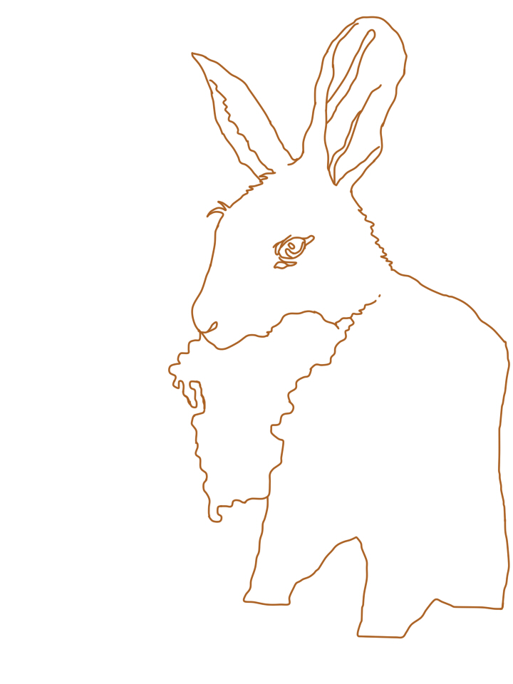 Rabbit line art