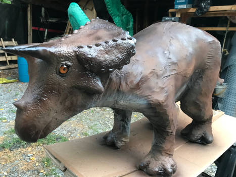 Baby Triceratops #1
