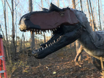 Gorgosaurus juv face sculpt complete