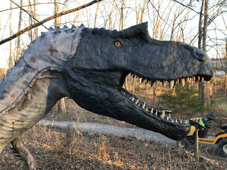 Gorgosaurus juv face sculpt complete 2