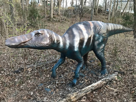 Edmontosaurus Update