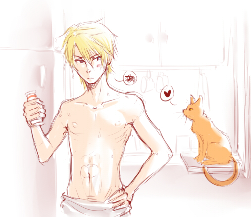 DRRR: Shizuo vs Cat