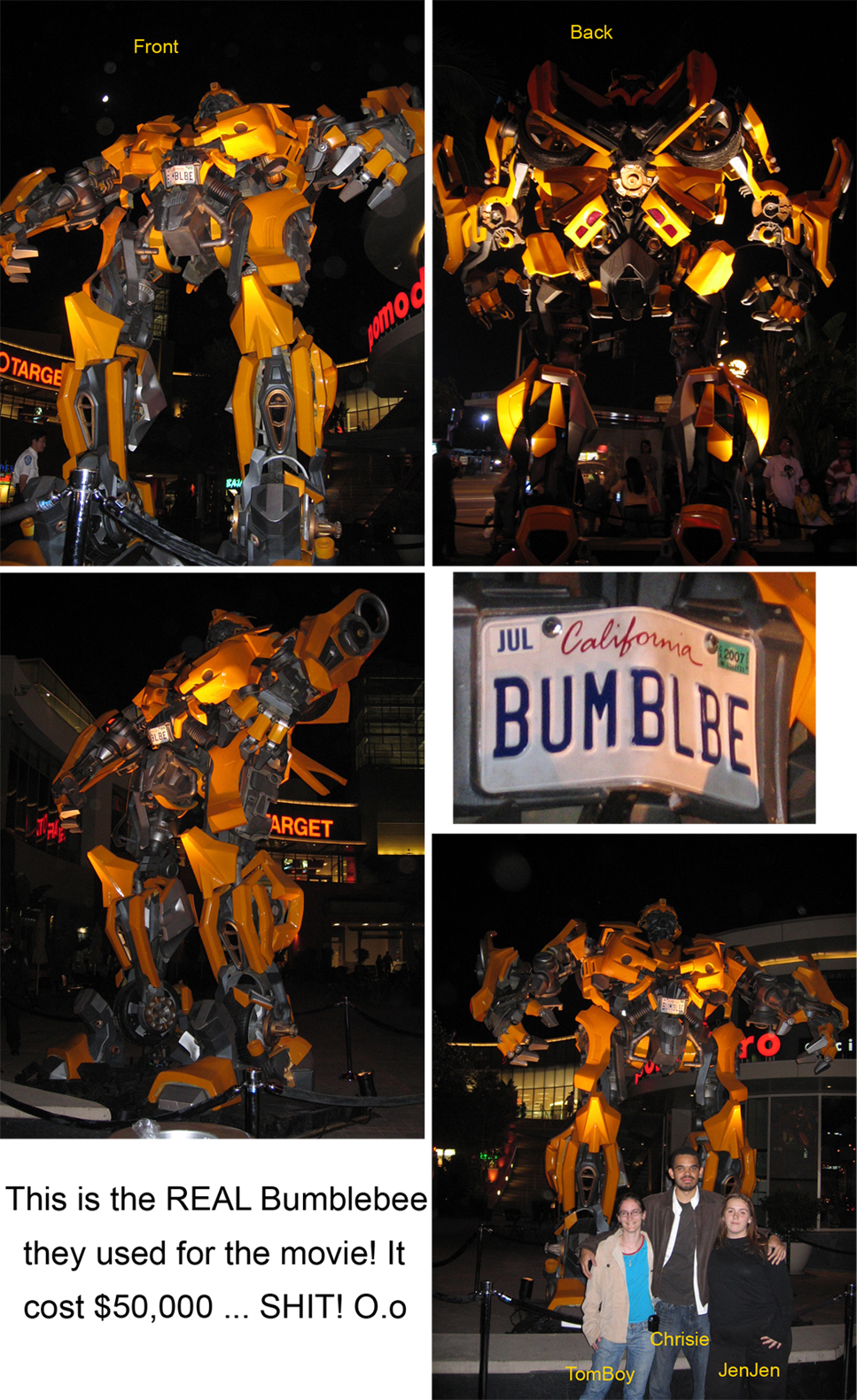 The REAL Bumblebee