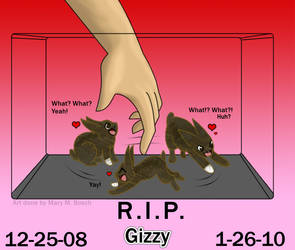 R.I.P. Gizzy