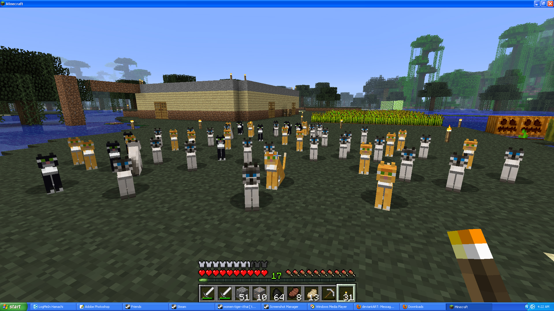 MineCraft:Crazy Cat Lady