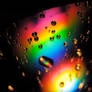 rainbow Rain