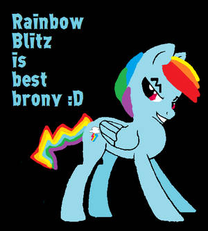 BEST BRONY